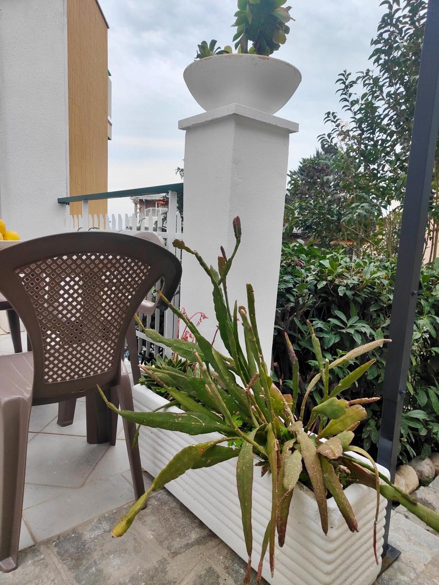 Alishome, Elegante Trilocale Con Vista Mare E Giardino * Sanremo
