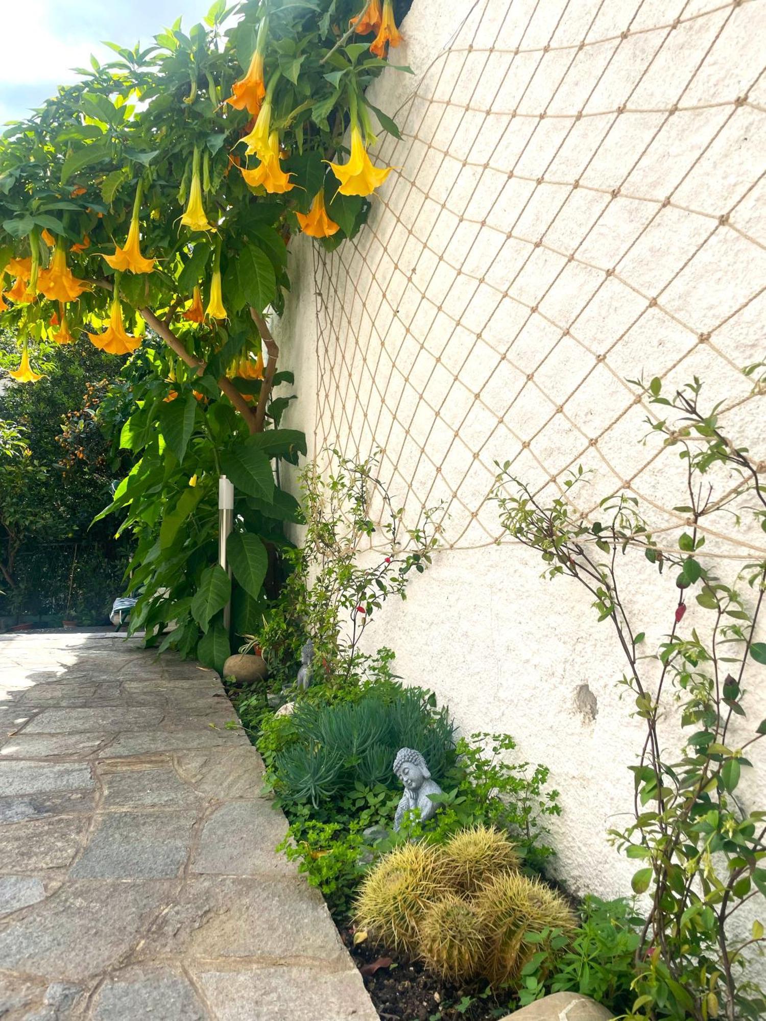 Alishome, Elegante Trilocale Con Vista Mare E Giardino *