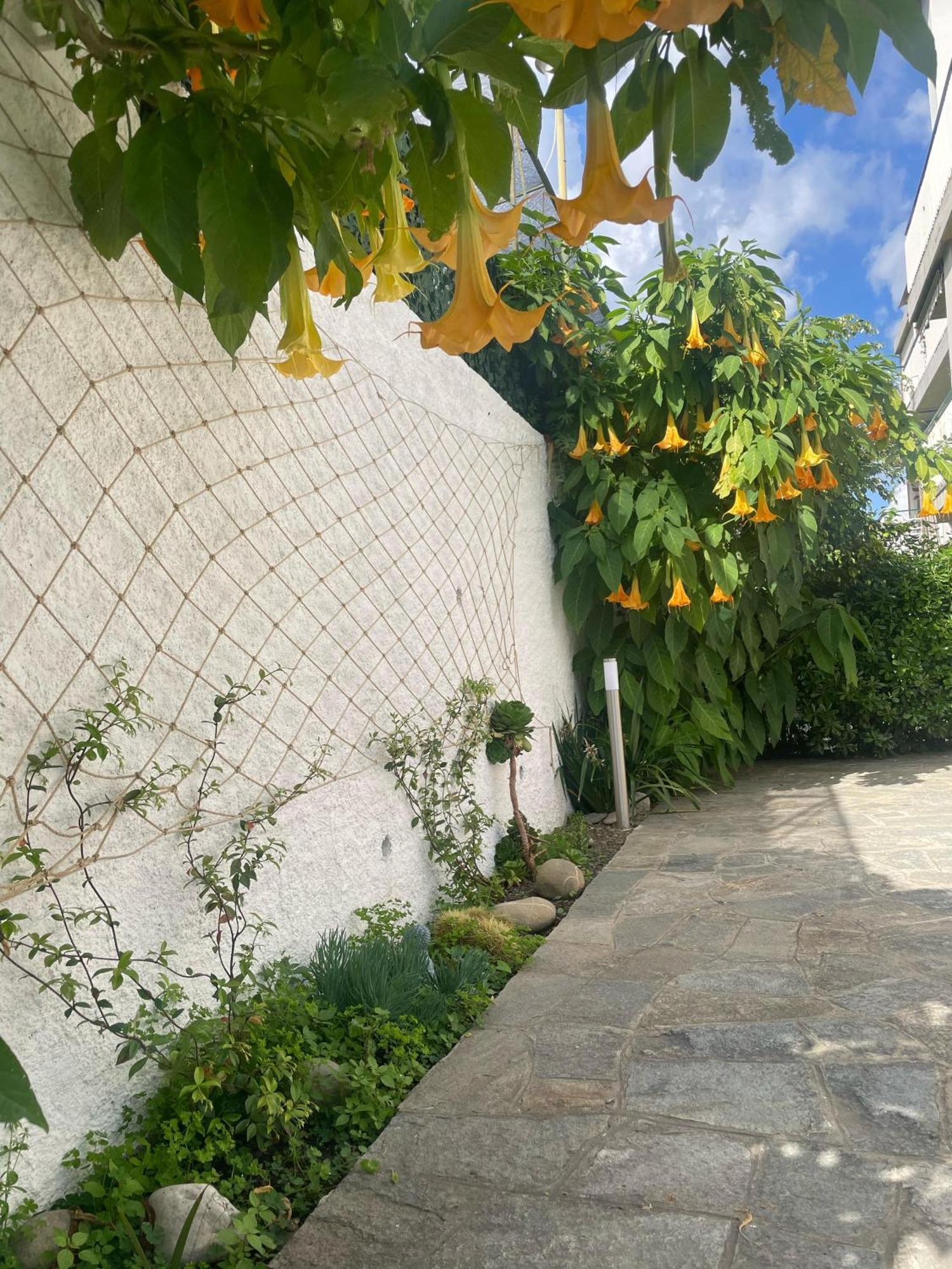 Alishome, Elegante Trilocale Con Vista Mare E Giardino Apartment Sanremo